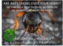 Pest Control Excellence logo